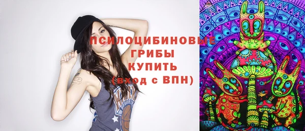 гашик Аркадак