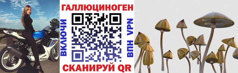 Галлюциногенные грибы прущие грибы  Купить  Октябрьск 